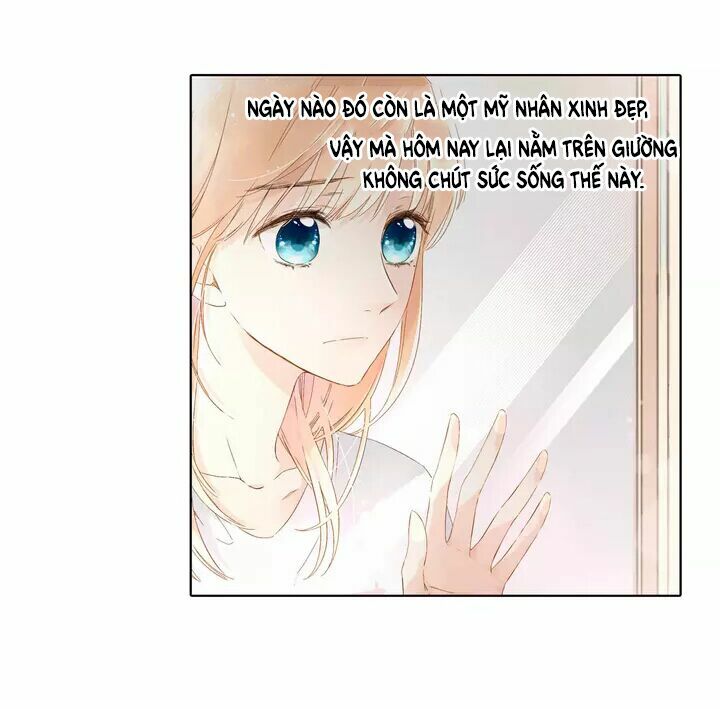 Tình yêu là màu hoa anh thảo: Chapter 23.2