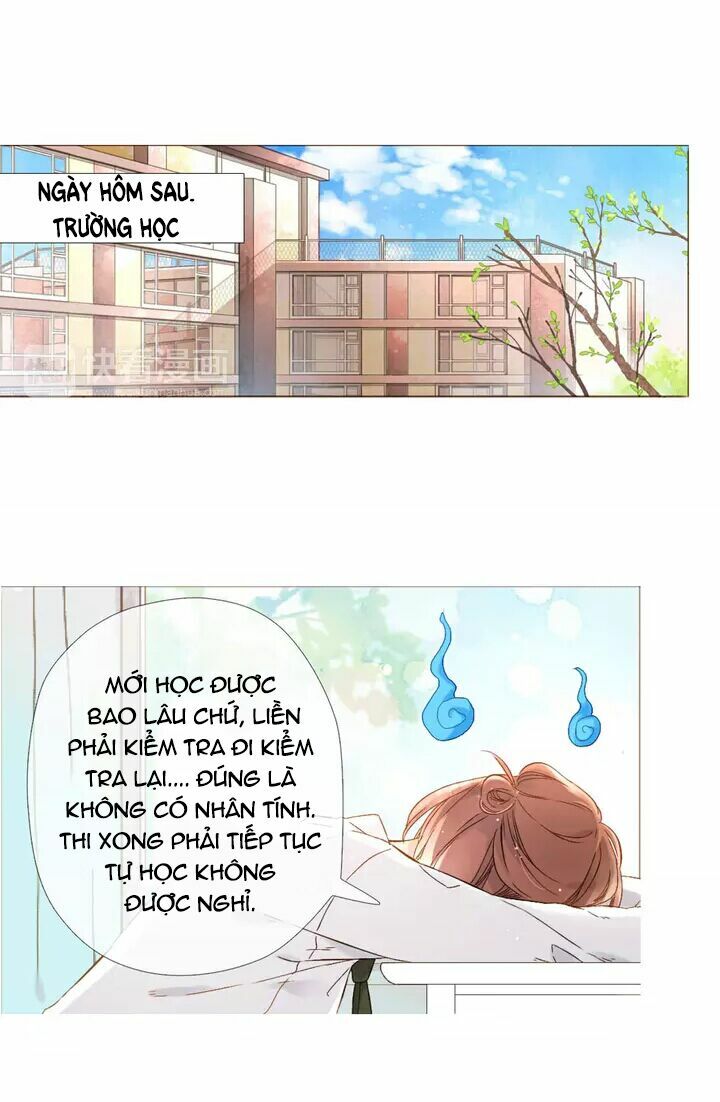 Tình yêu là màu hoa anh thảo: Chapter 23.2