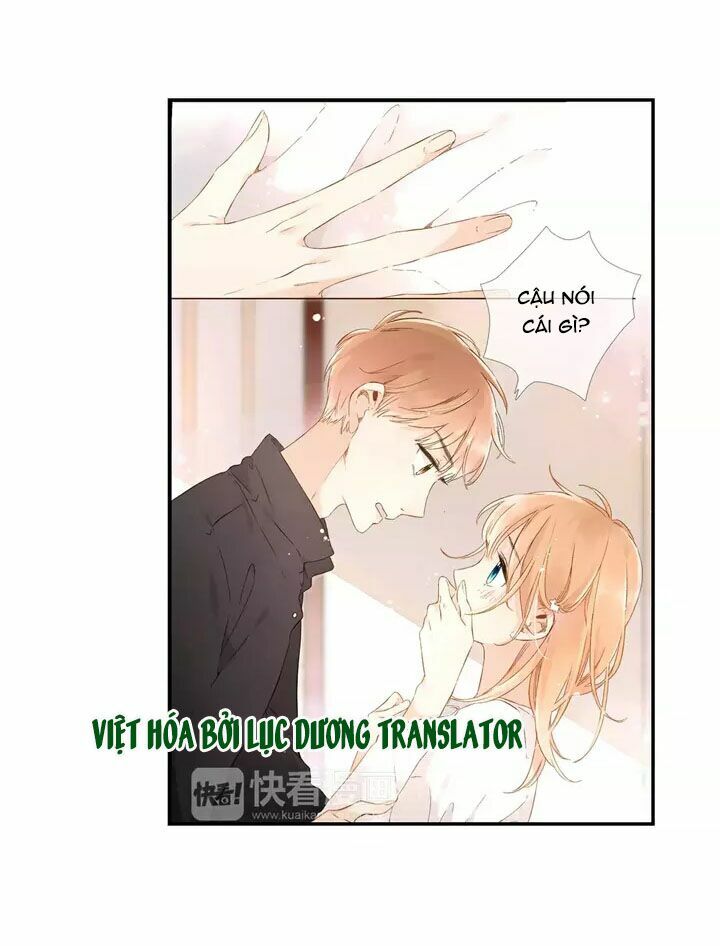Tình yêu là màu hoa anh thảo: Chapter 23