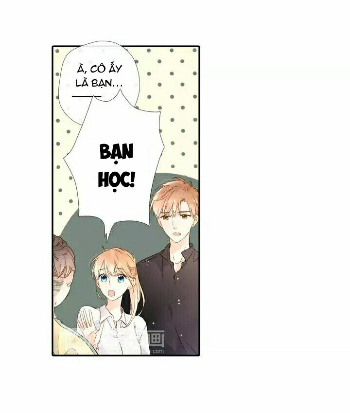 Tình yêu là màu hoa anh thảo: Chapter 24.2