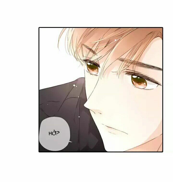 Tình yêu là màu hoa anh thảo: Chapter 24.2