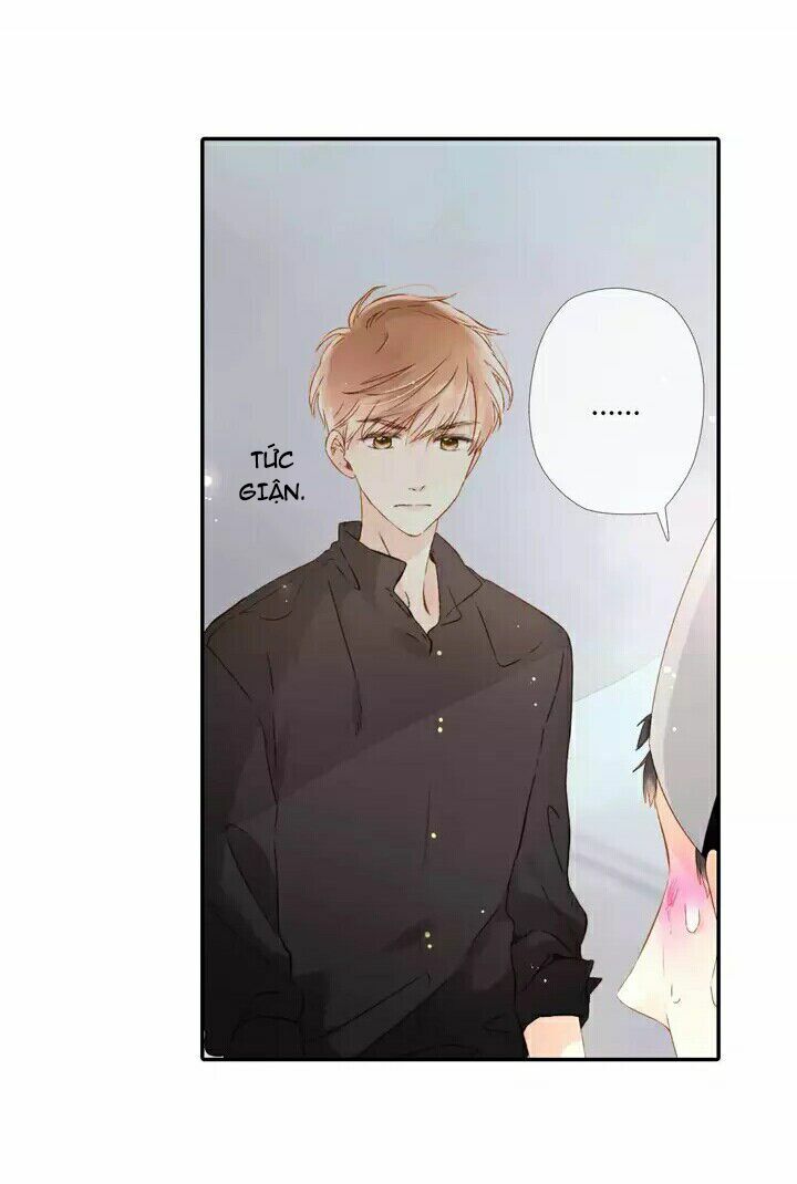 Tình yêu là màu hoa anh thảo: Chapter 24.2