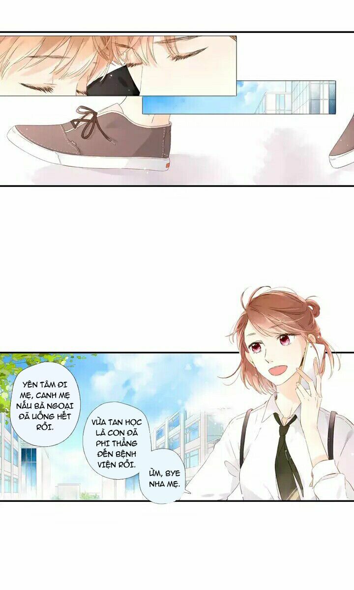 Tình yêu là màu hoa anh thảo: Chapter 24.2
