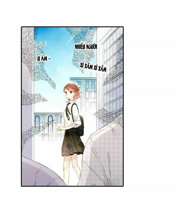Tình yêu là màu hoa anh thảo: Chapter 24.2