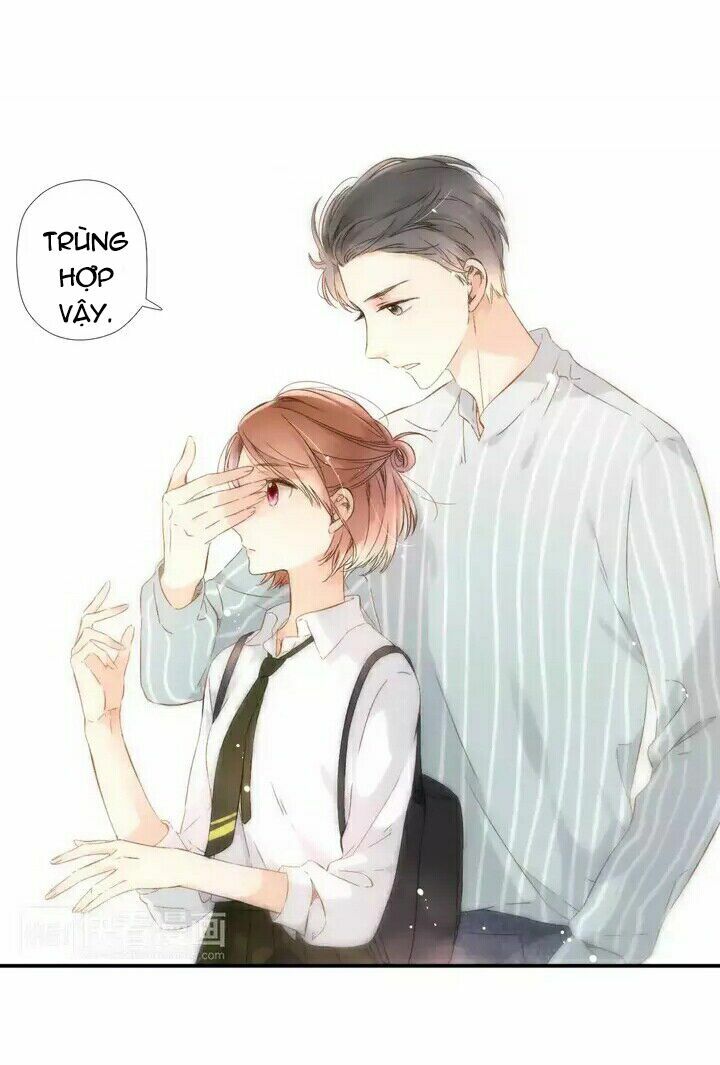Tình yêu là màu hoa anh thảo: Chapter 24.2
