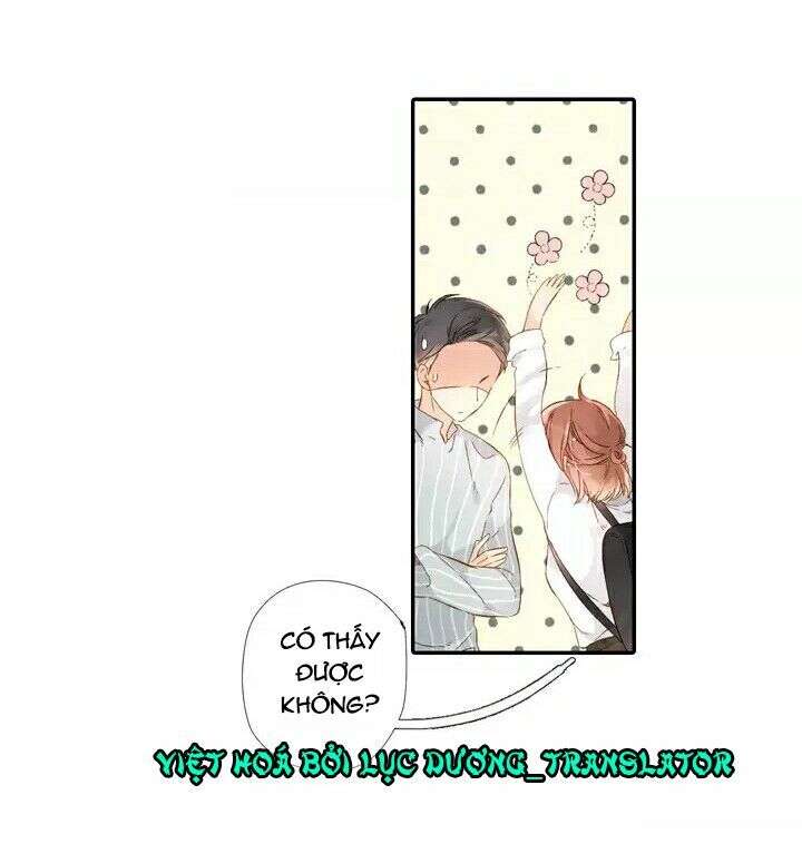 Tình yêu là màu hoa anh thảo: Chapter 24.2