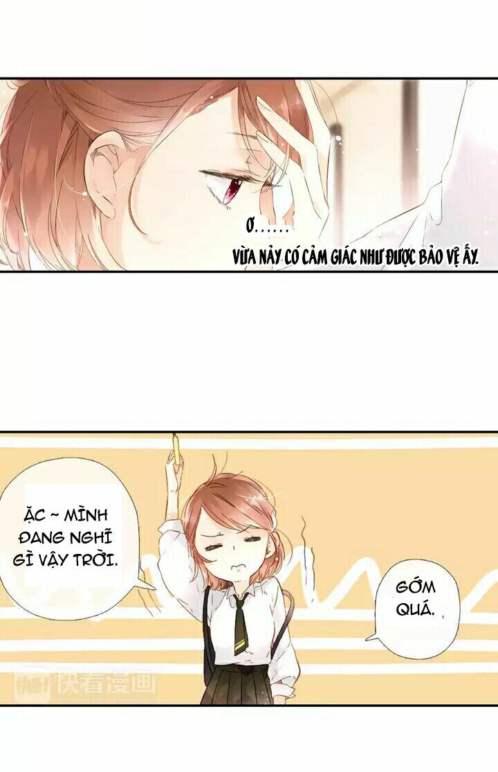Tình yêu là màu hoa anh thảo: Chapter 24.2