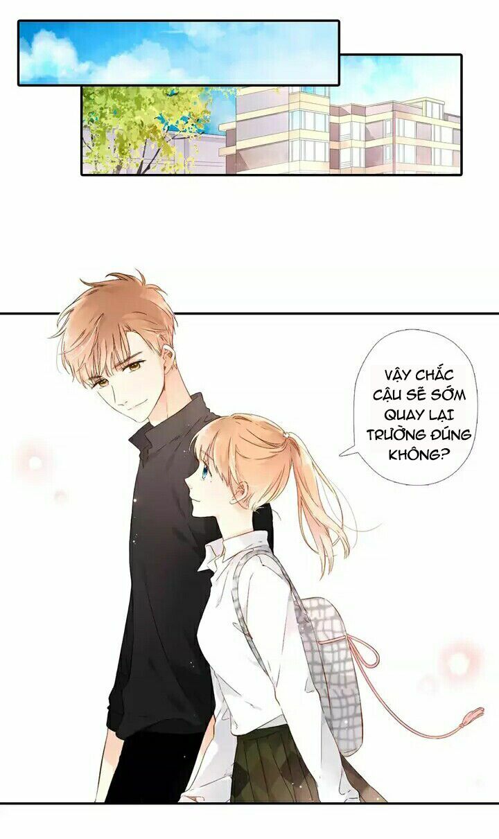 Tình yêu là màu hoa anh thảo: Chapter 24.2
