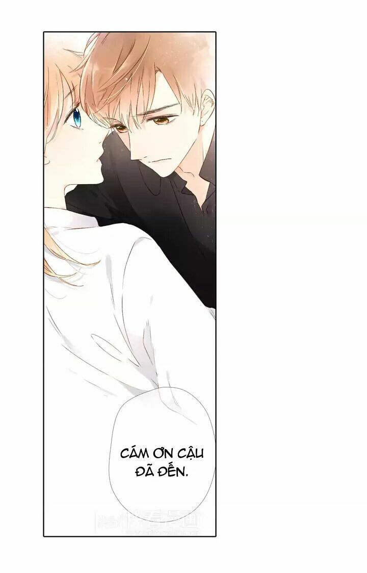 Tình yêu là màu hoa anh thảo: Chapter 24