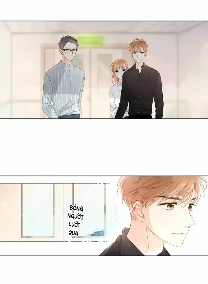 Tình yêu là màu hoa anh thảo: Chapter 24