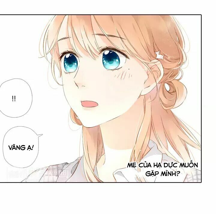 Tình yêu là màu hoa anh thảo: Chapter 25.2