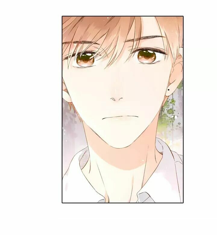 Tình yêu là màu hoa anh thảo: Chapter 25.2