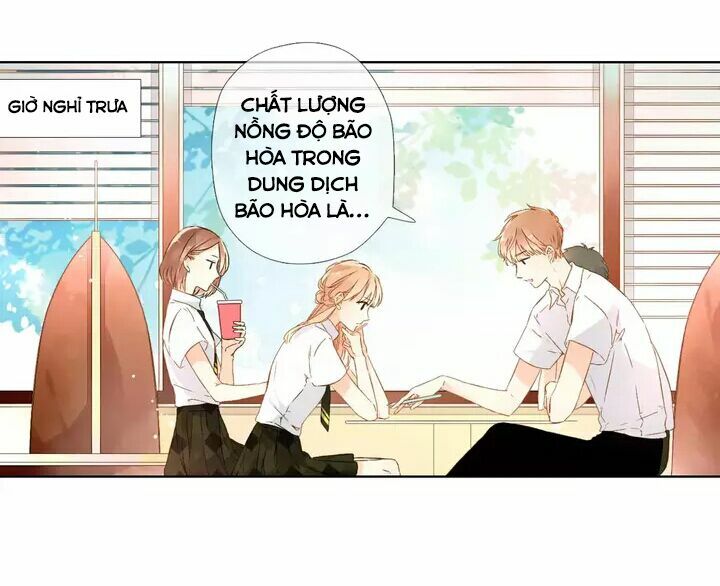 Tình yêu là màu hoa anh thảo: Chapter 25.2