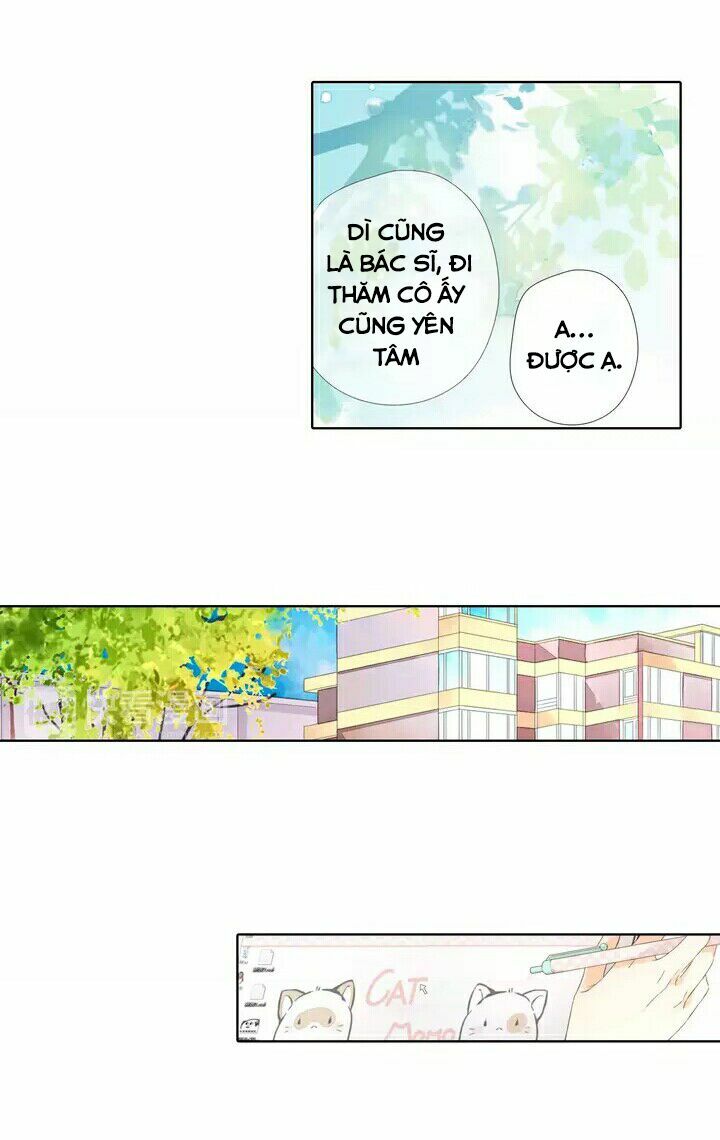 Tình yêu là màu hoa anh thảo: Chapter 25