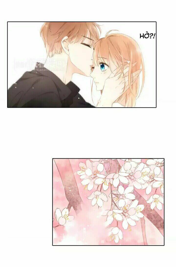 Tình yêu là màu hoa anh thảo: Chapter 25