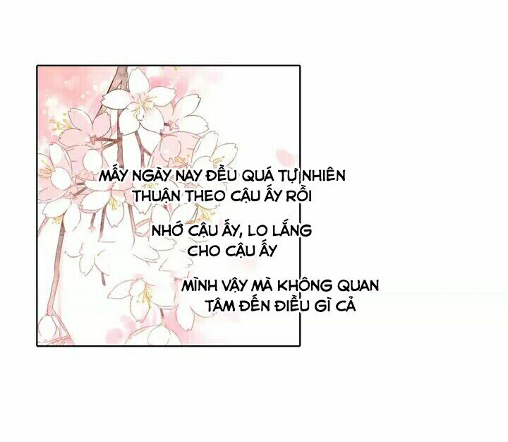 Tình yêu là màu hoa anh thảo: Chapter 25