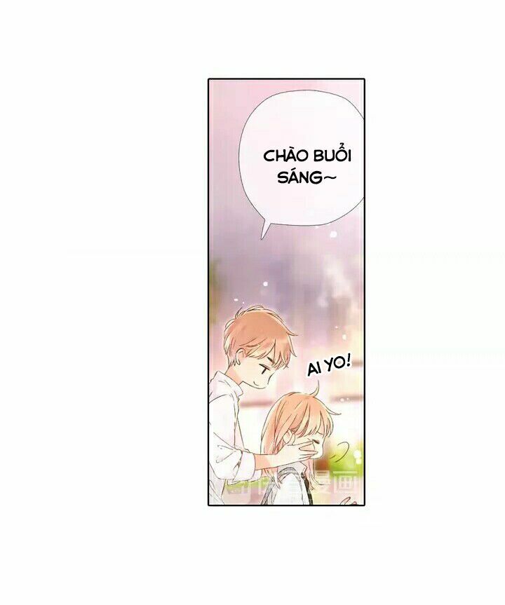 Tình yêu là màu hoa anh thảo: Chapter 25