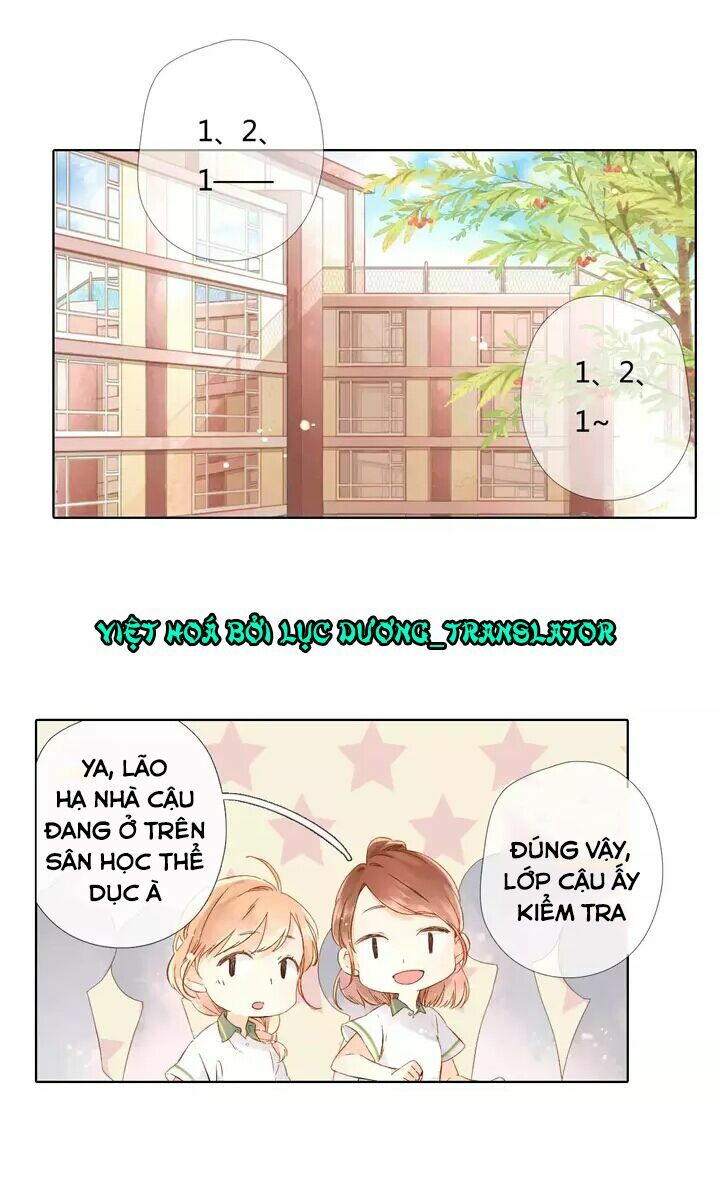 Tình yêu là màu hoa anh thảo: Chapter 26.1