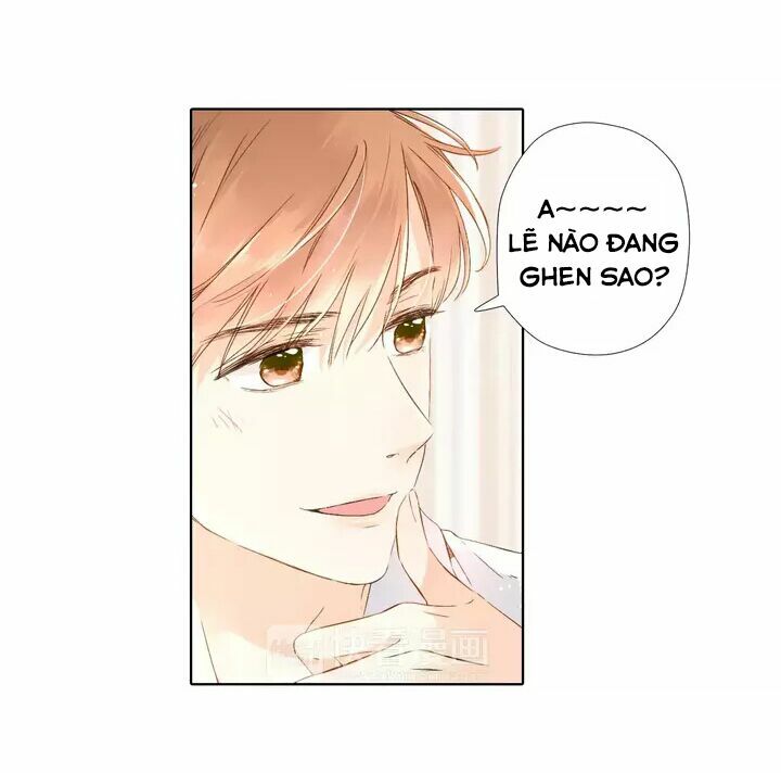 Tình yêu là màu hoa anh thảo: Chapter 26.1
