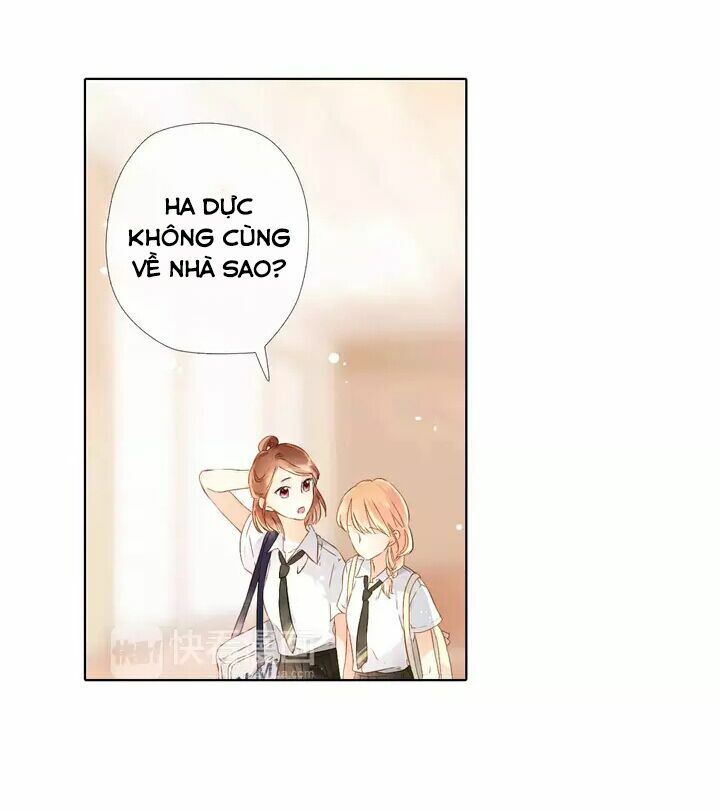 Tình yêu là màu hoa anh thảo: Chapter 26.1