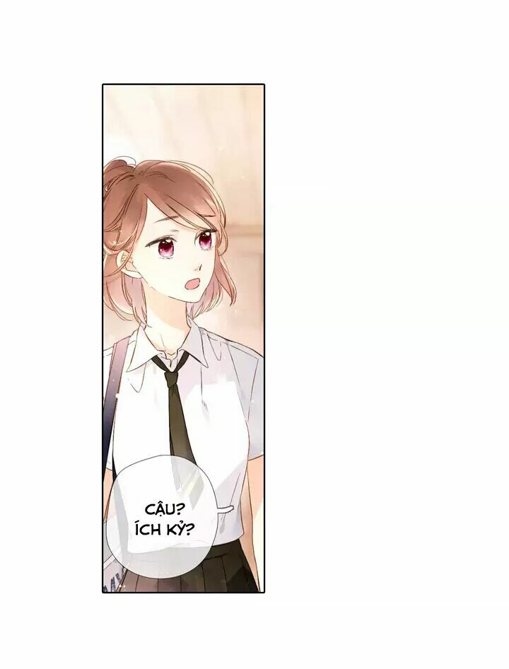Tình yêu là màu hoa anh thảo: Chapter 26.1