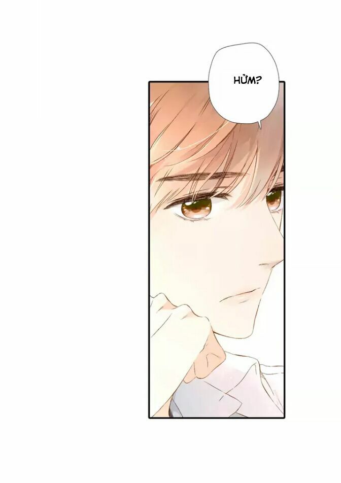 Tình yêu là màu hoa anh thảo: Chapter 26.2