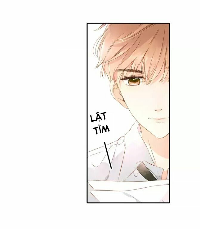 Tình yêu là màu hoa anh thảo: Chapter 26.2