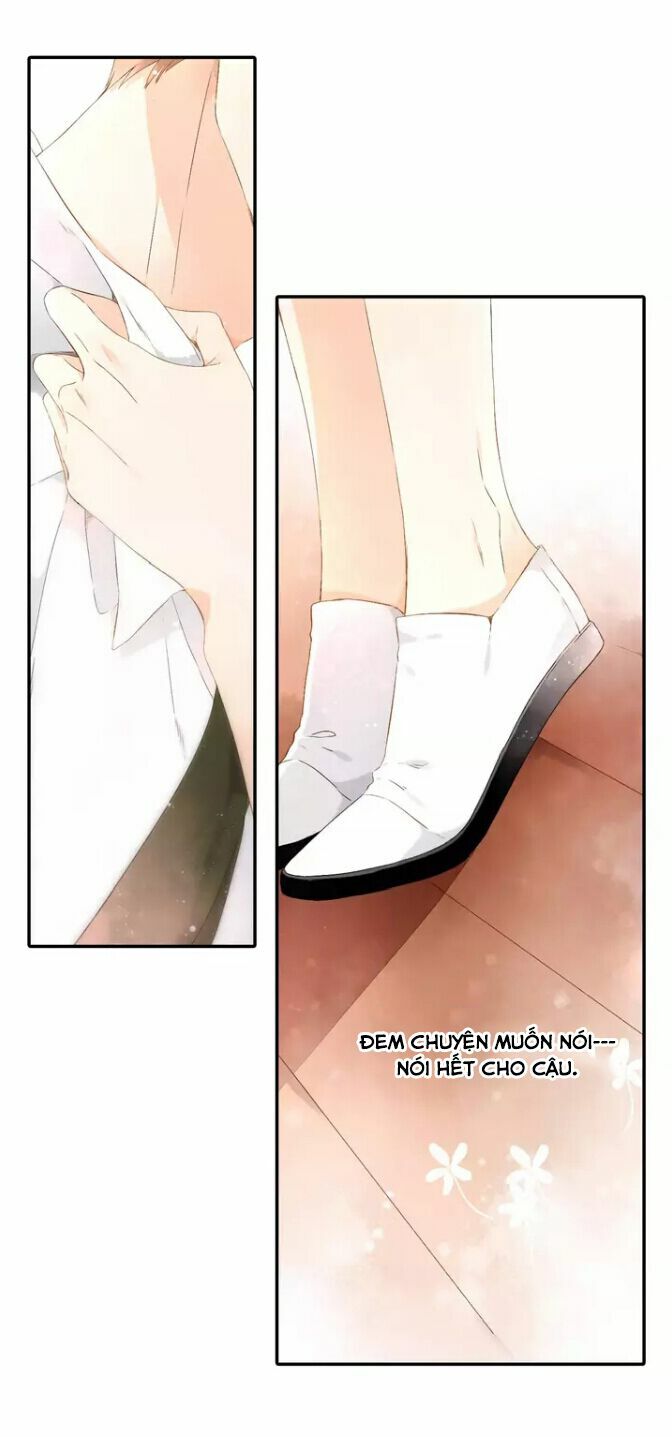 Tình yêu là màu hoa anh thảo: Chapter 26.2