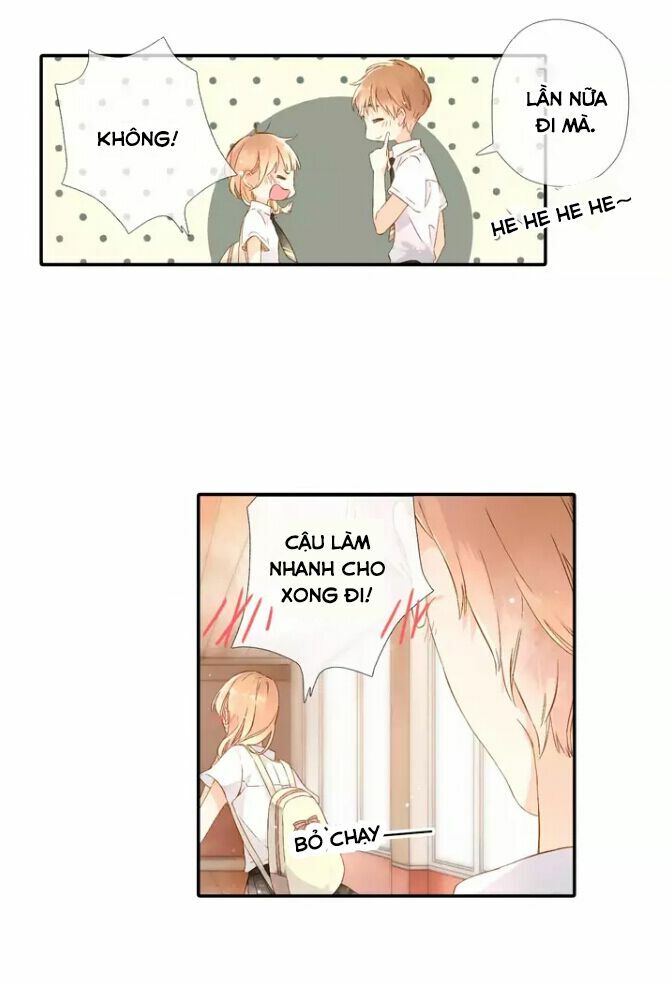 Tình yêu là màu hoa anh thảo: Chapter 26.2