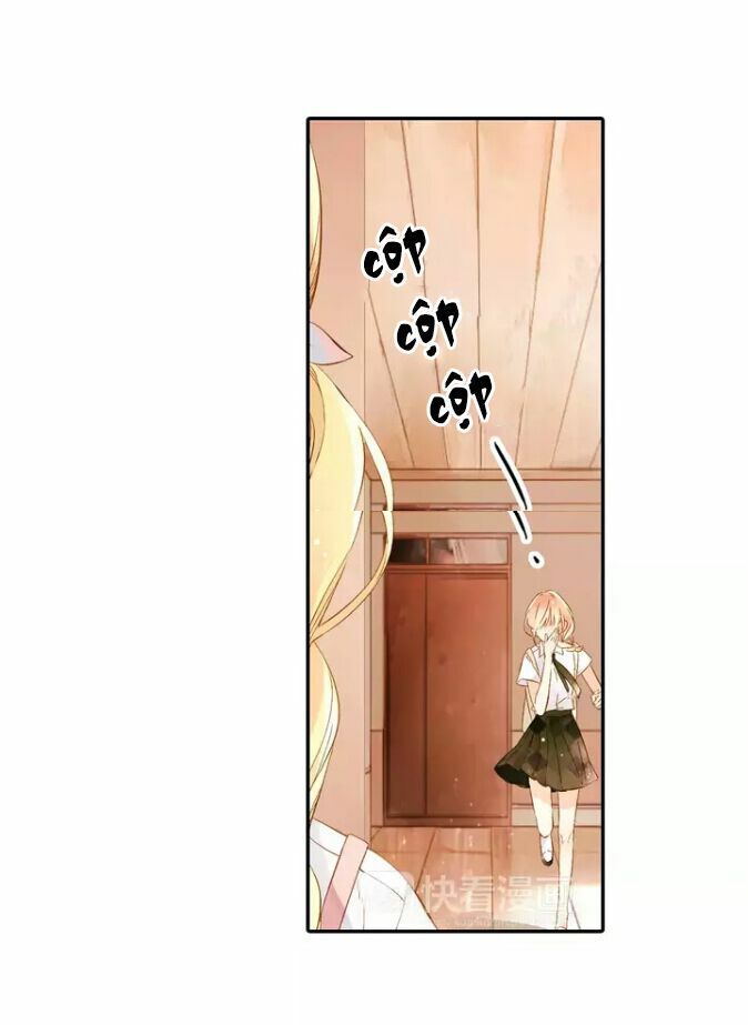 Tình yêu là màu hoa anh thảo: Chapter 27.1
