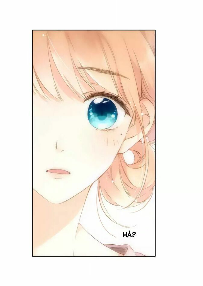 Tình yêu là màu hoa anh thảo: Chapter 27.2