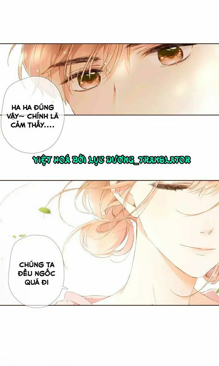 Tình yêu là màu hoa anh thảo: Chapter 28.2