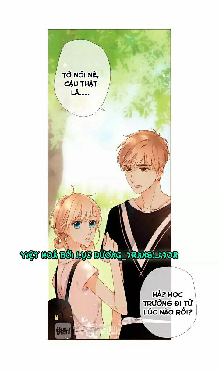 Tình yêu là màu hoa anh thảo: Chapter 28.2