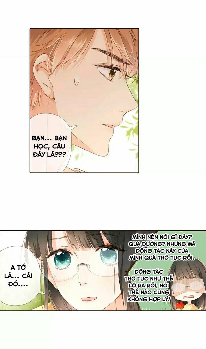 Tình yêu là màu hoa anh thảo: Chapter 28.2