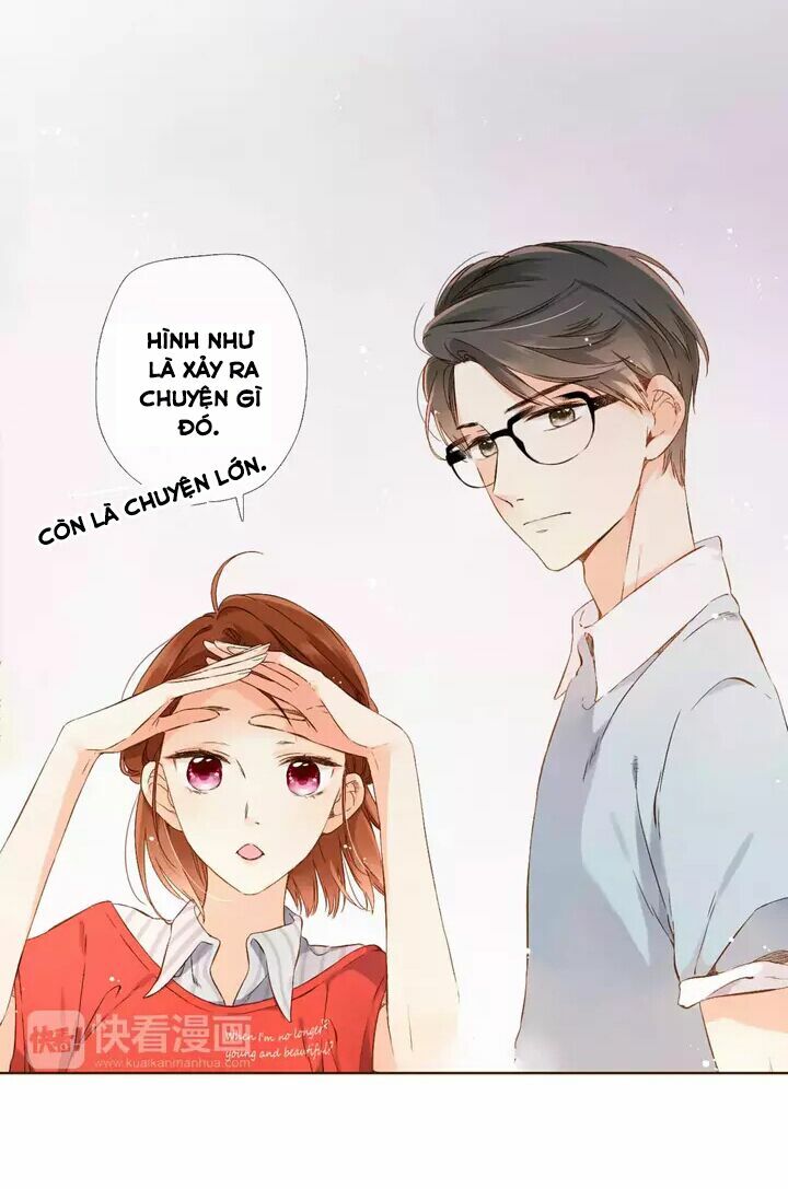 Tình yêu là màu hoa anh thảo: Chapter 29.1