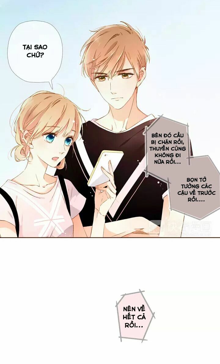 Tình yêu là màu hoa anh thảo: Chapter 29.1
