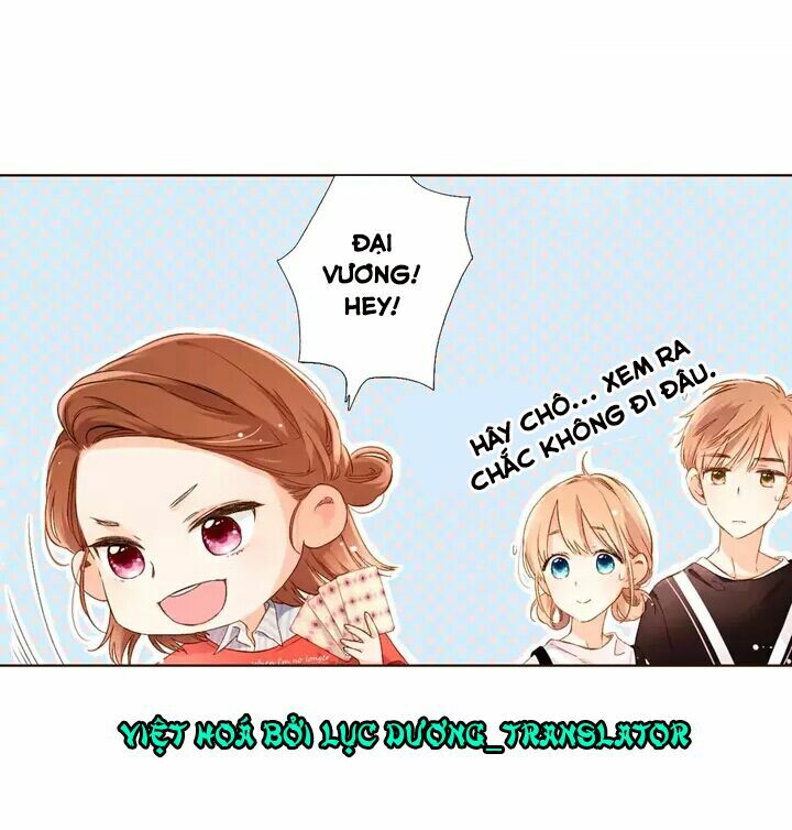 Tình yêu là màu hoa anh thảo: Chapter 29.1