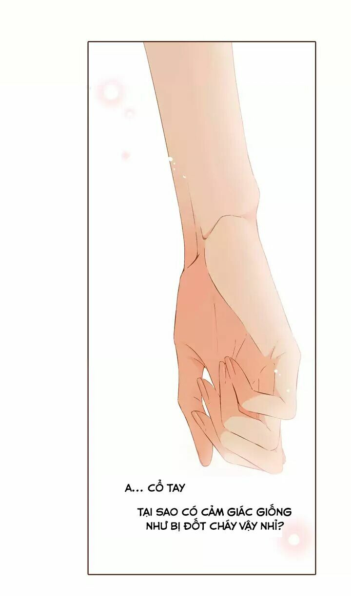 Tình yêu là màu hoa anh thảo: Chapter 29.3