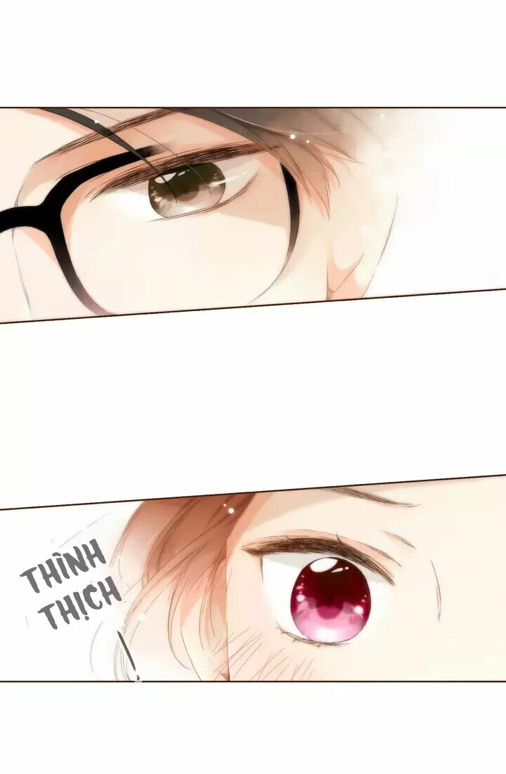 Tình yêu là màu hoa anh thảo: Chapter 29.3