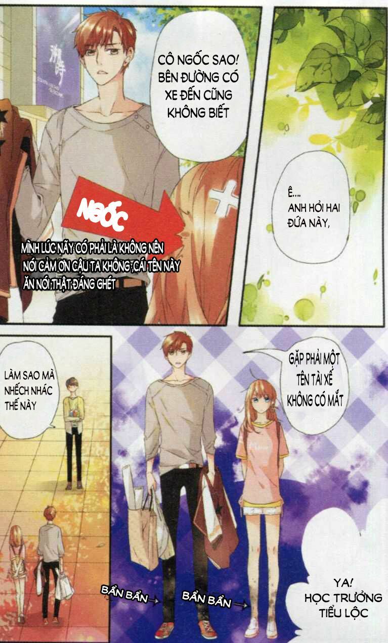 Tình yêu là màu hoa anh thảo: Chapter 3