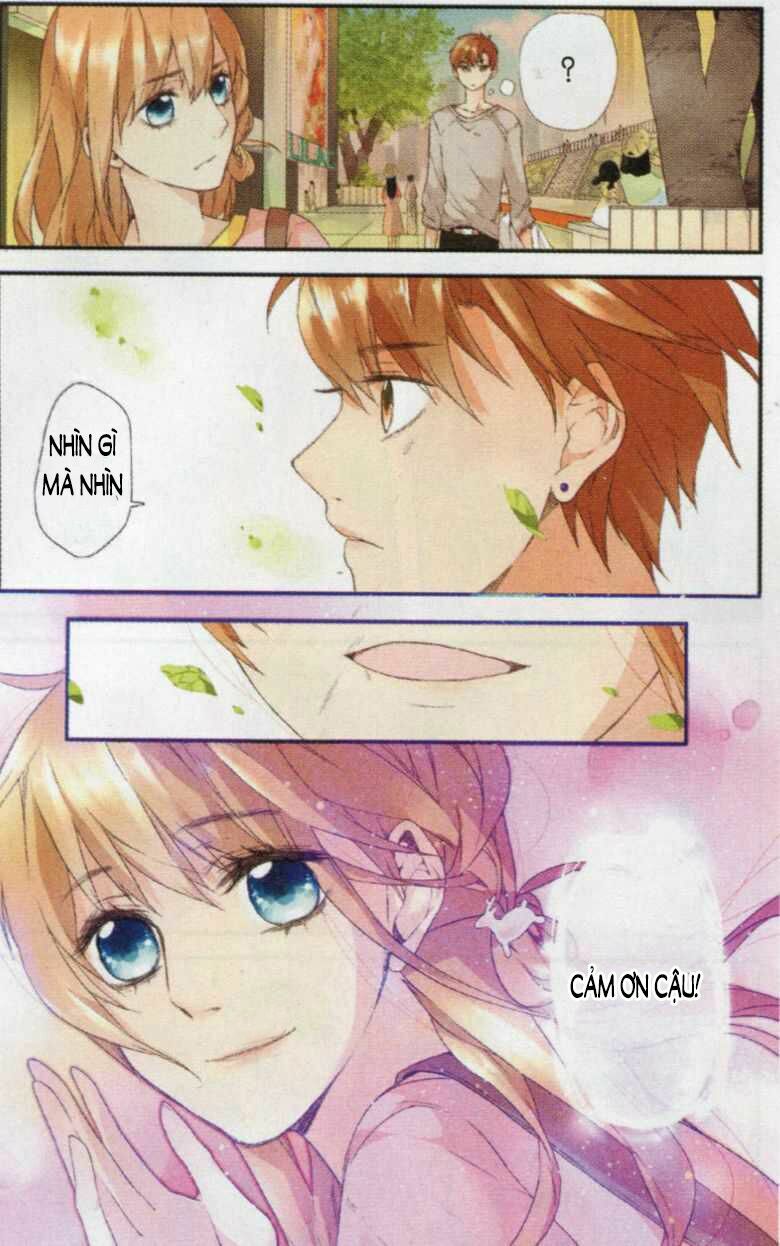 Tình yêu là màu hoa anh thảo: Chapter 3