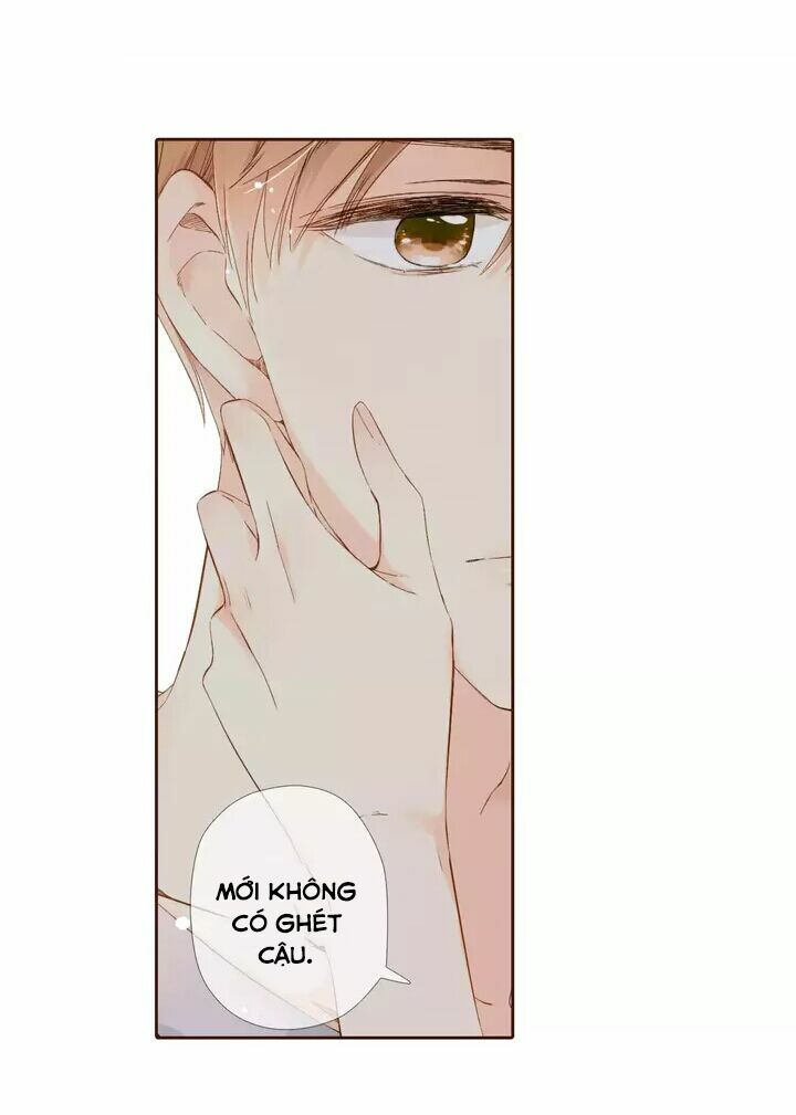 Tình yêu là màu hoa anh thảo: Chapter 30.1