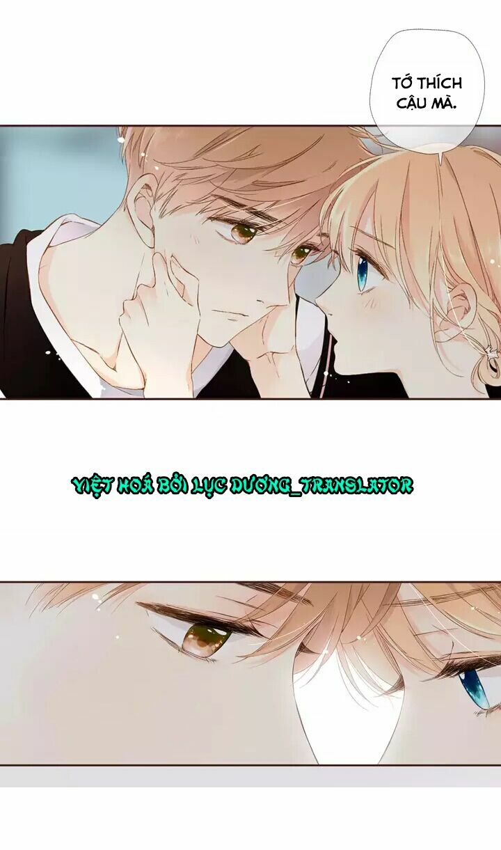 Tình yêu là màu hoa anh thảo: Chapter 30.1