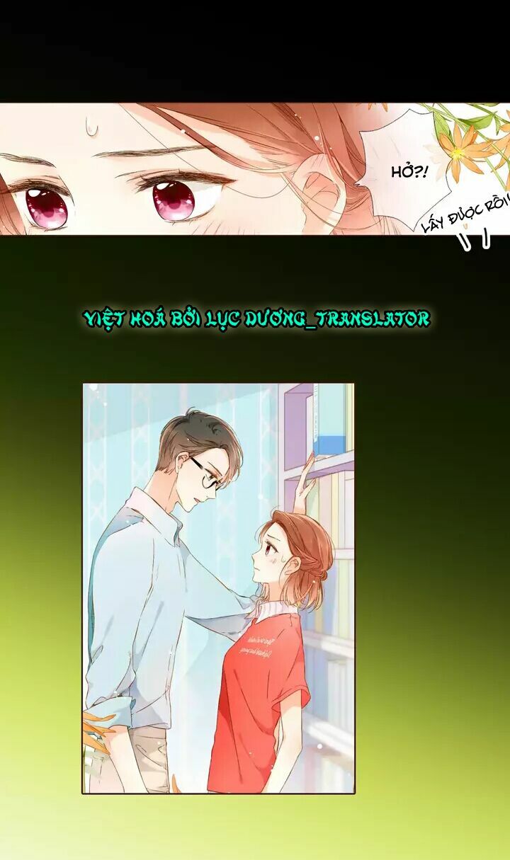 Tình yêu là màu hoa anh thảo: Chapter 30.1