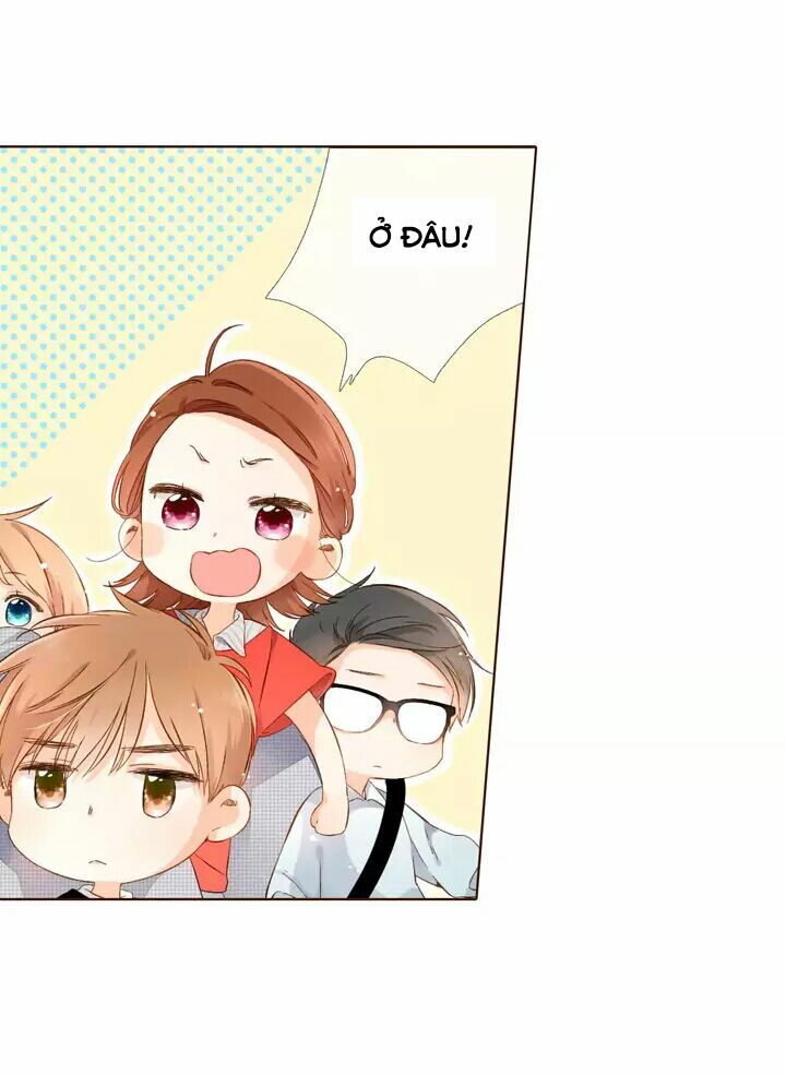 Tình yêu là màu hoa anh thảo: Chapter 30.1