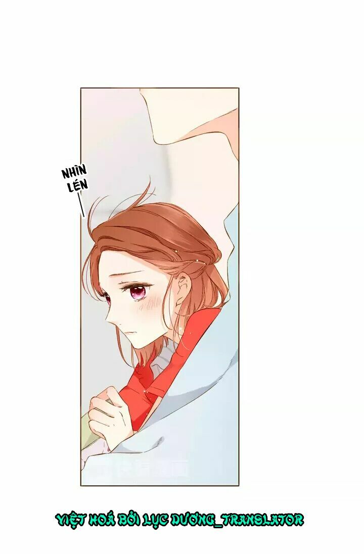 Tình yêu là màu hoa anh thảo: Chapter 30.2