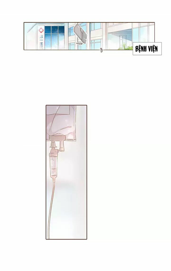 Tình yêu là màu hoa anh thảo: Chapter 30.2