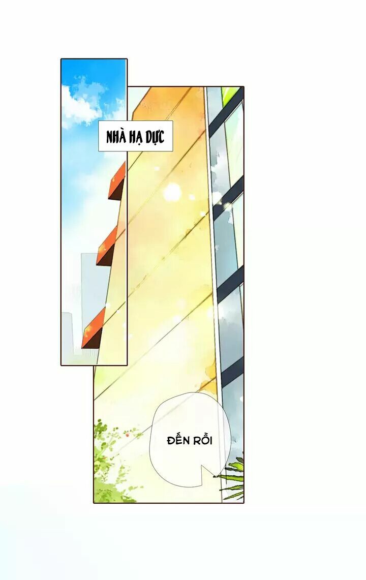 Tình yêu là màu hoa anh thảo: Chapter 30.2