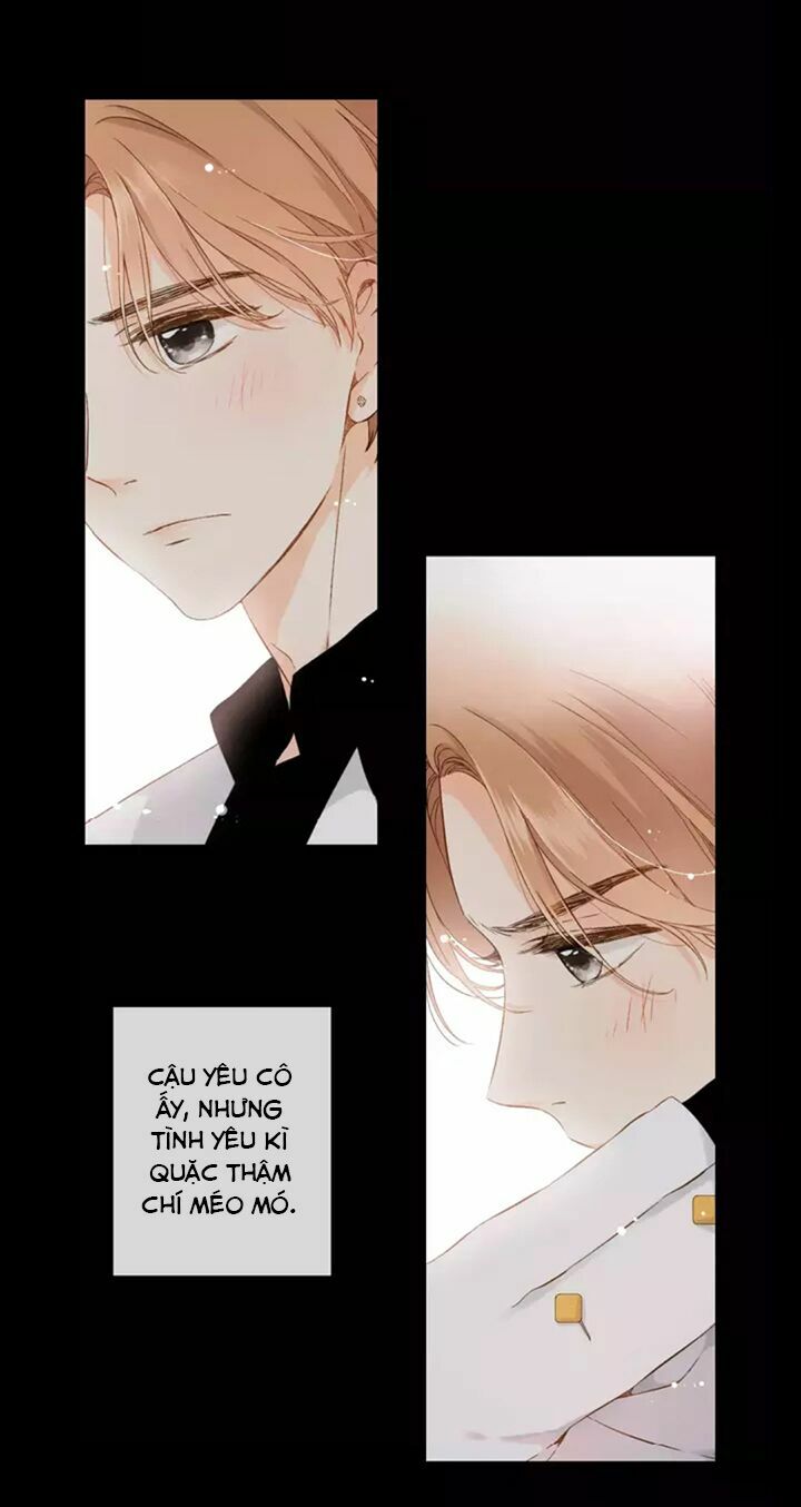 Tình yêu là màu hoa anh thảo: Chapter 31.2