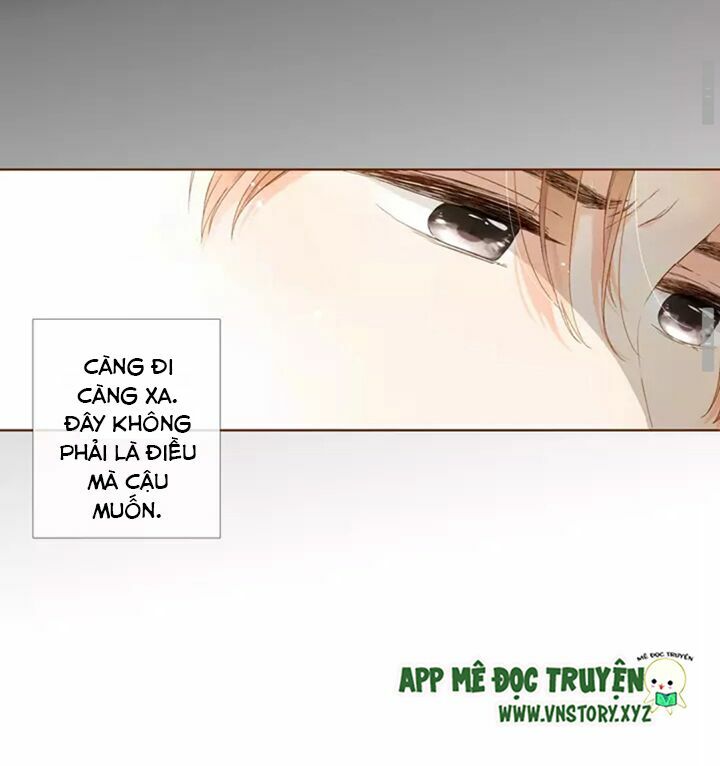 Tình yêu là màu hoa anh thảo: Chapter 31.2